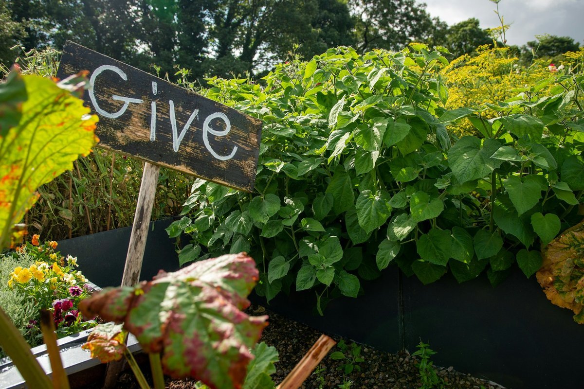 Innovate Today, Nourish Tomorrow: Reimagining Food Security Across Calgary