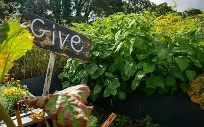 Feature image for Innovate Today, Nourish Tomorrow: Reimagining Food Security Across Calgary