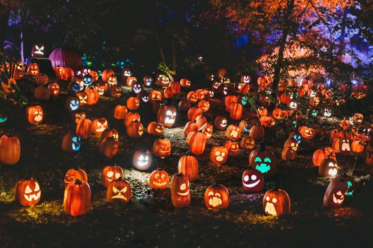Spooktacular Ways to Give Back: Celebrating Halloween 2026 in Calgary