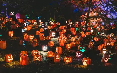 Feature image for Spooktacular Ways to Give Back: Celebrating Halloween 2026 in Calgary