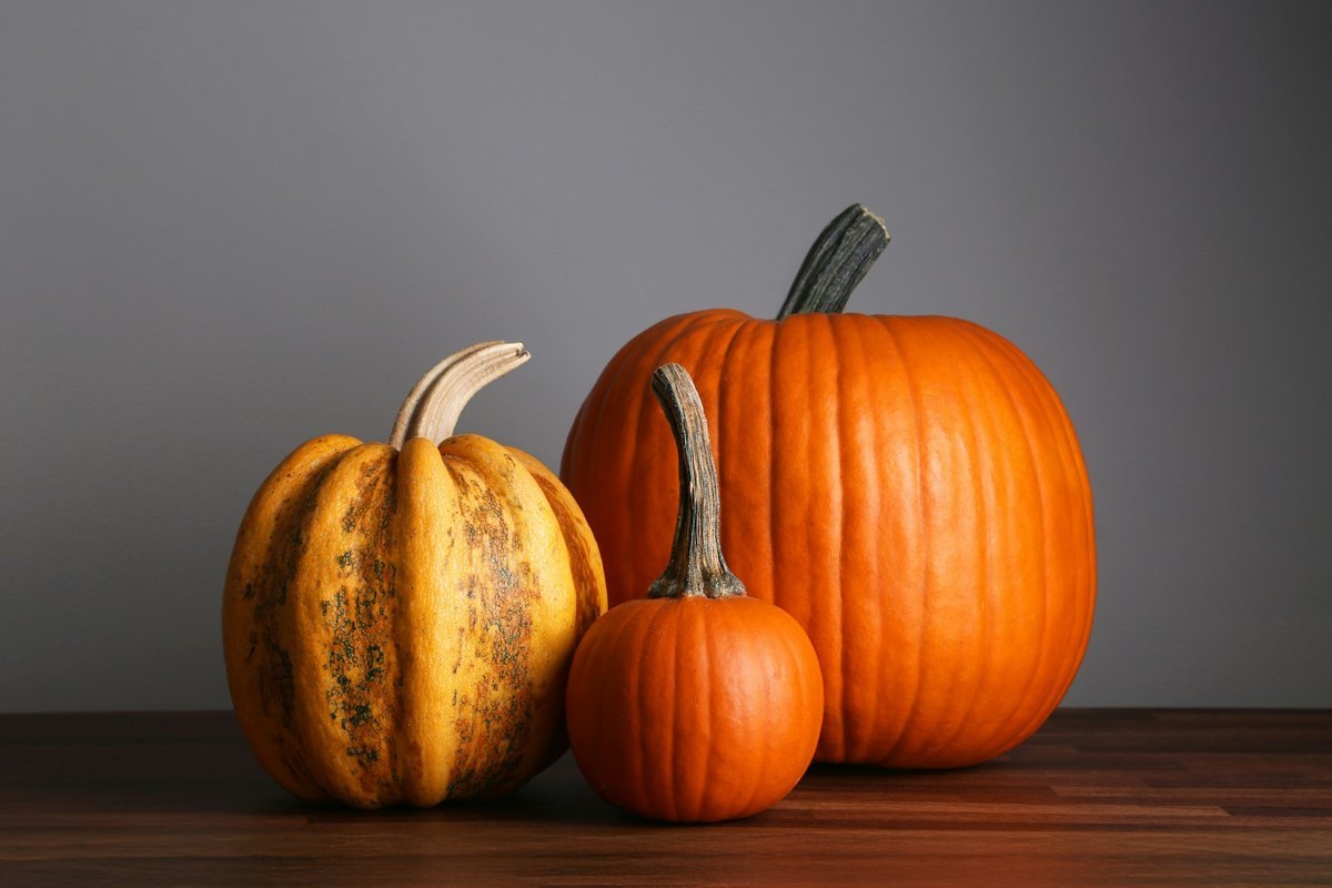 Setting a Wider Table: Meaningful Ways to Give Back This Thanksgiving Across Calgary