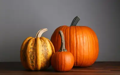 Image à la une pour Setting a Wider Table: Meaningful Ways to Give Back This Thanksgiving Across Calgary