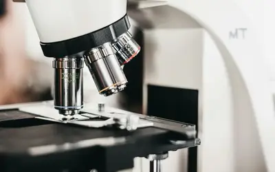 Micro-Volunteering in Calgary: How to Make a Big Difference in Just Minutes