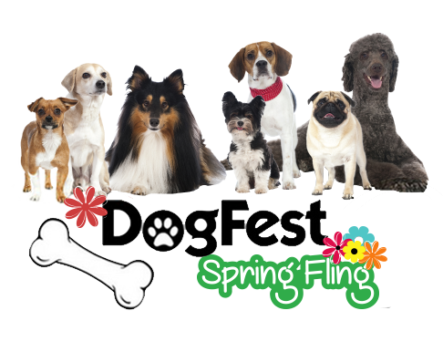 DogFest Spring fling Logo