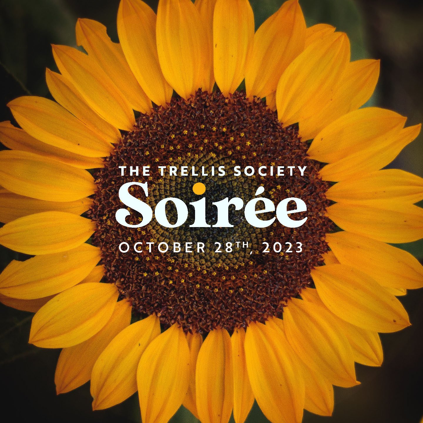 The Trellis Society Soirée Logo
