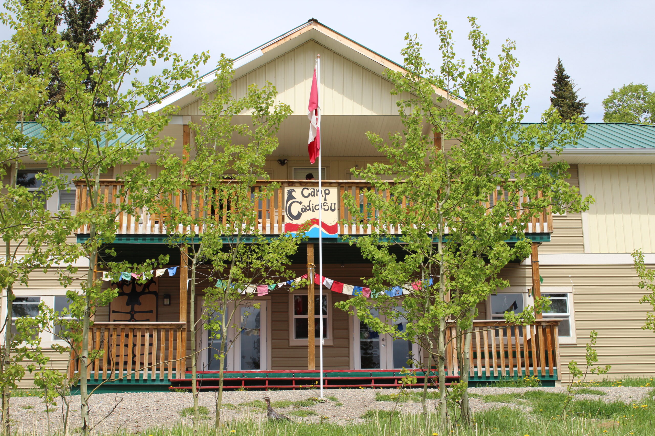 Camp Cadicasu Assocation of Calgary Logo