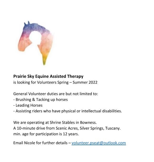 Prairie Sky Equine Assisted Therapy Logo